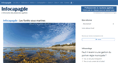 Desktop Screenshot of infocapagde.com
